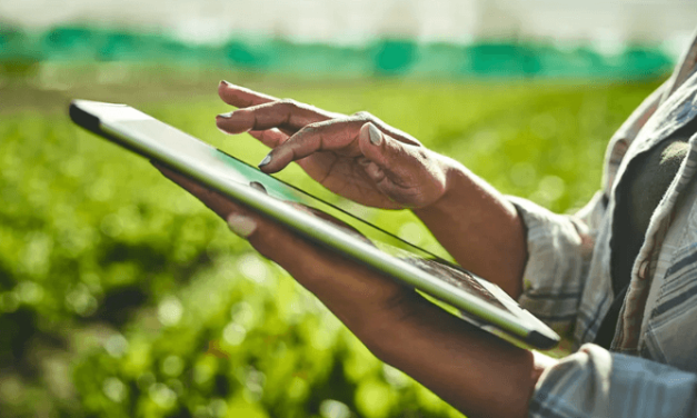Fintech to offer farmers produce-backed loans